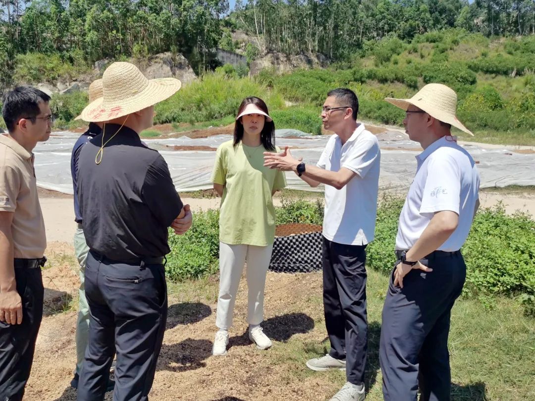 【一图一故事】三级联动解难题 矿山修复提质效