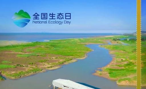 全国生态日 | 数据里的福建答卷
