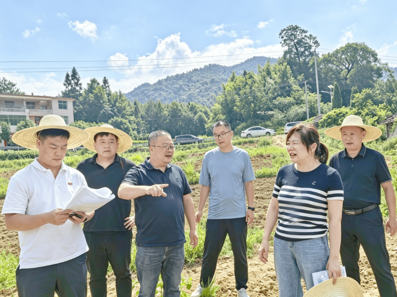 【一图一故事】开展实地调研 现场答疑解惑